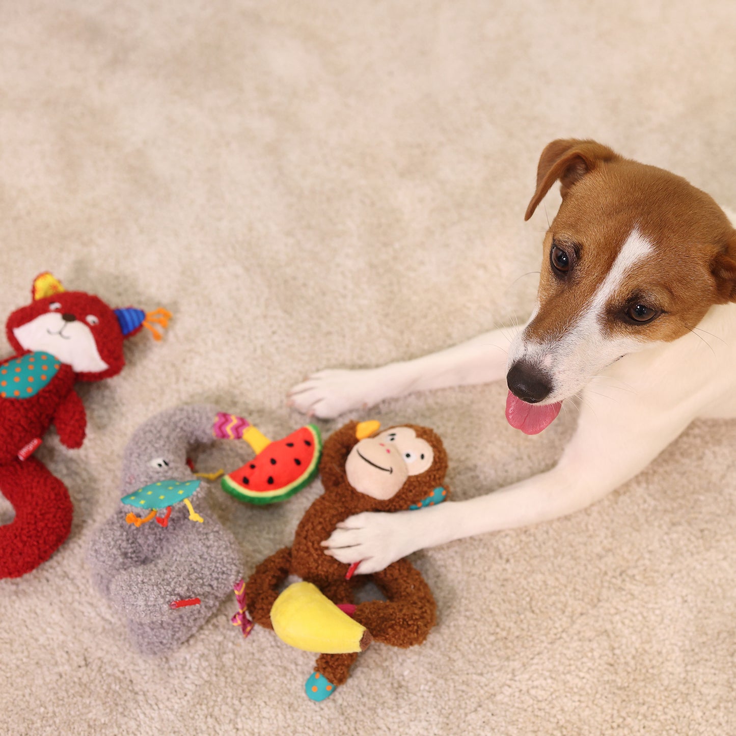 GiGwi 'Plush Friendz'