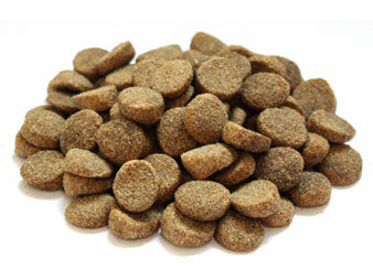 Vincent Fidog Adult 20 Kg
