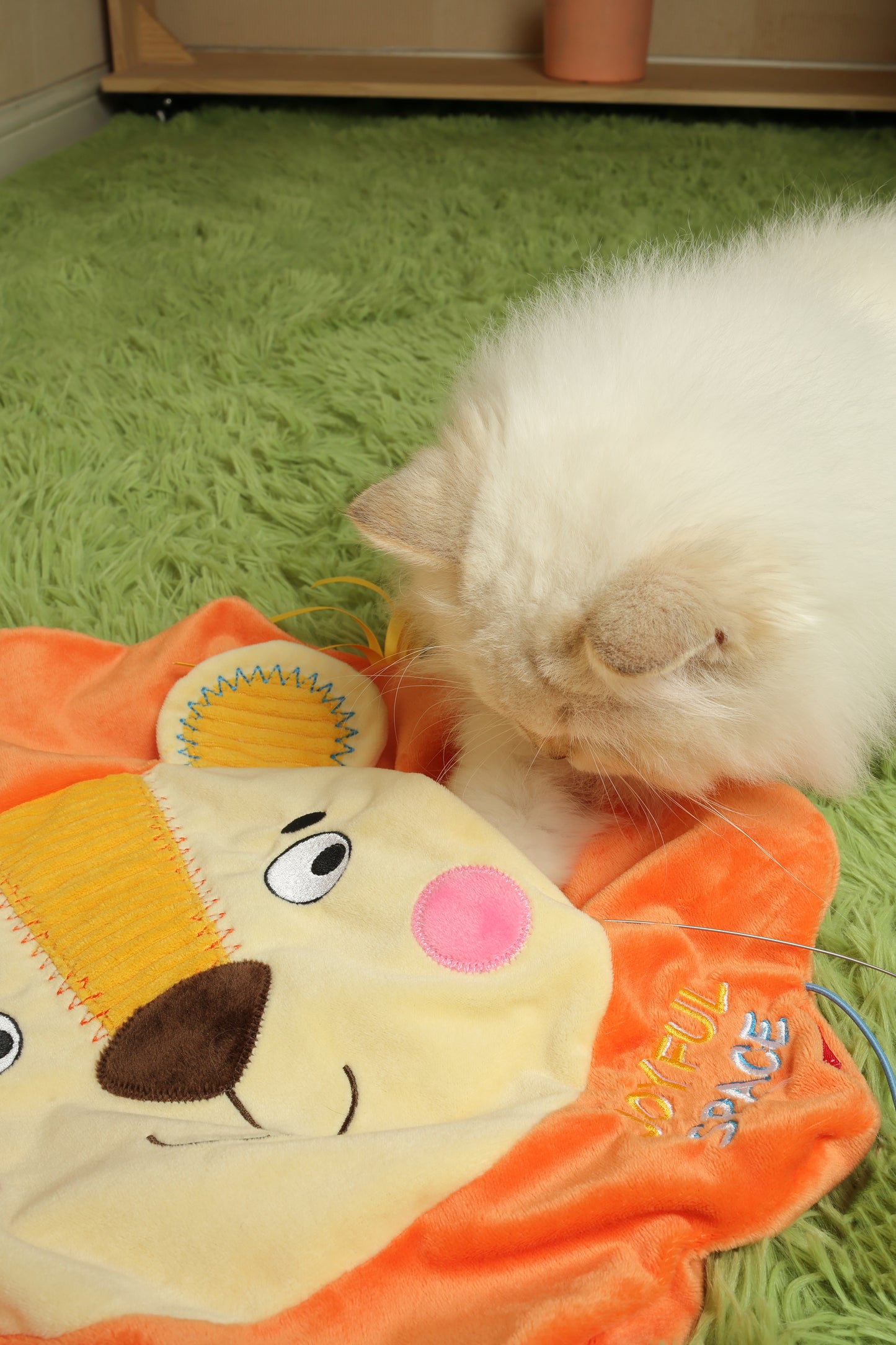 GiGwi 'Joyful Space' Play Mat Leone &  Gufo Tappetino