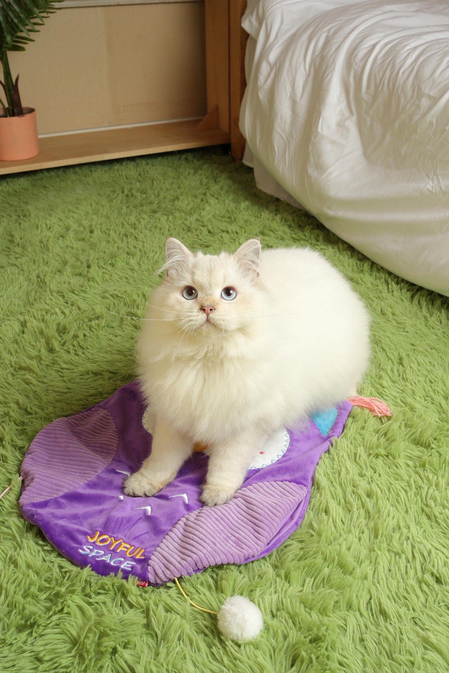 GiGwi 'Joyful Space' Play Mat Leone &  Gufo Tappetino